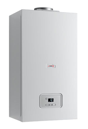Ремонт газовых котлов Protherm